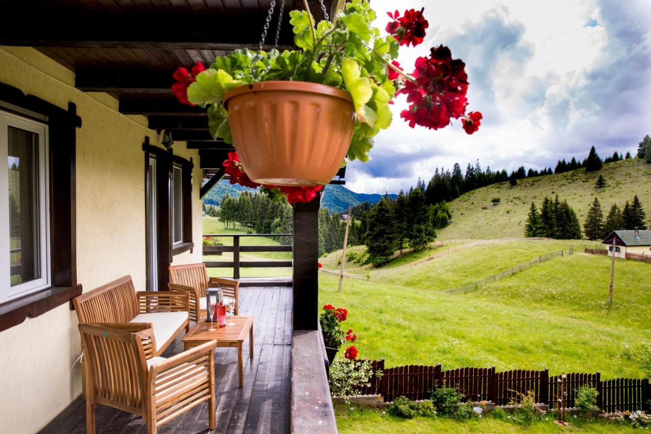 Villa Casa Cerbul Fundata Esterno foto